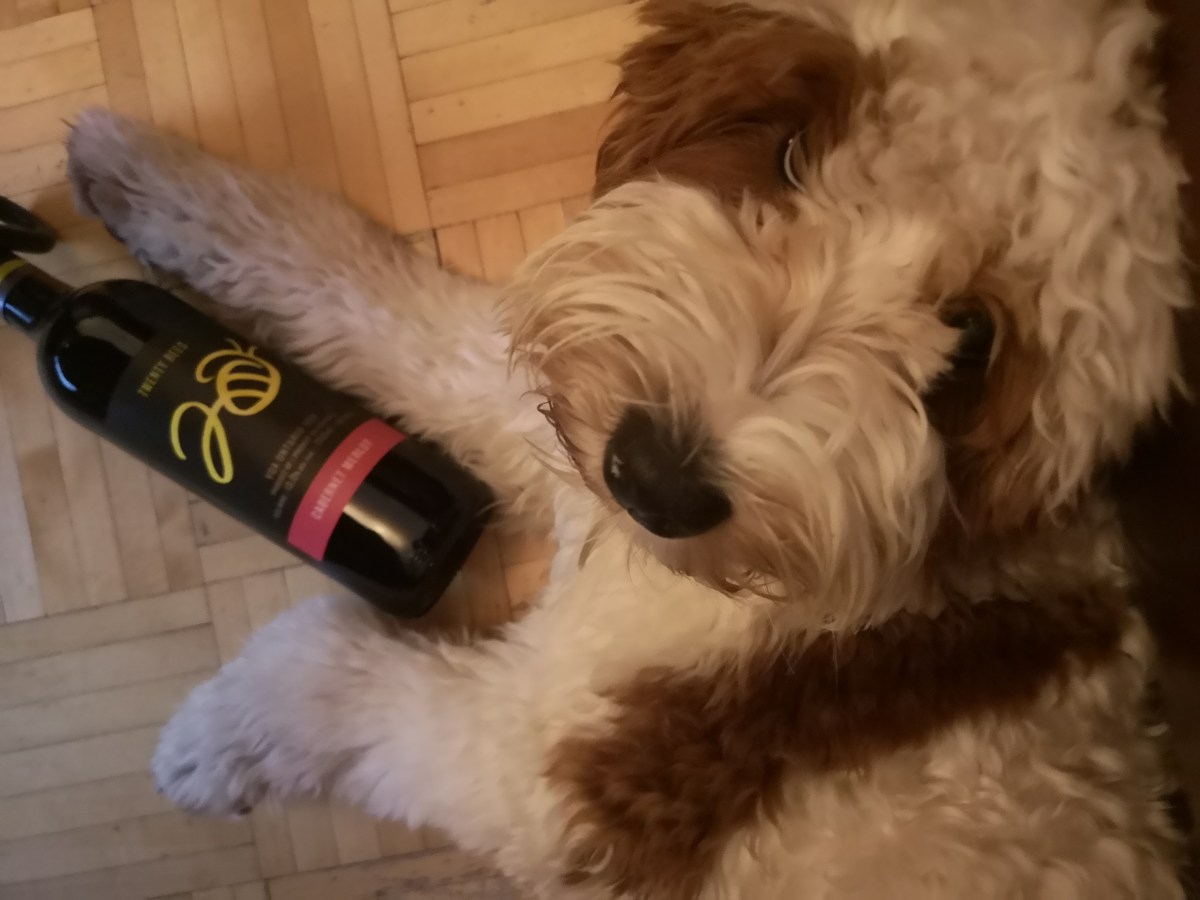 Boston Bruins 2022 Wine&nbsp;Pairing