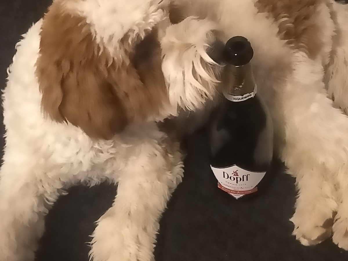 Columbus Blue Jackets 2022 Wine&nbsp;Pairing