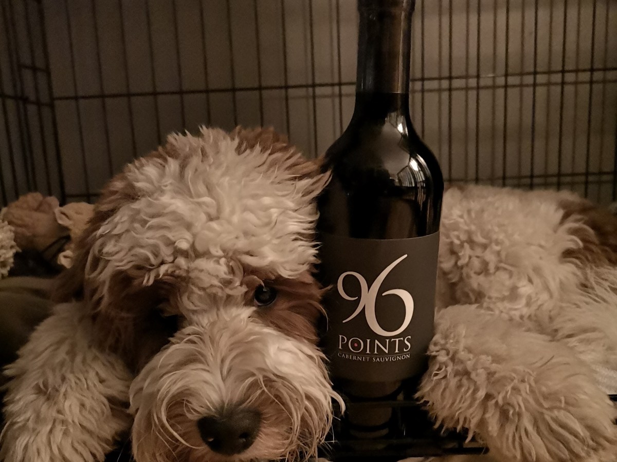 Colorado Avalanche 2022 Wine&nbsp;Pairing