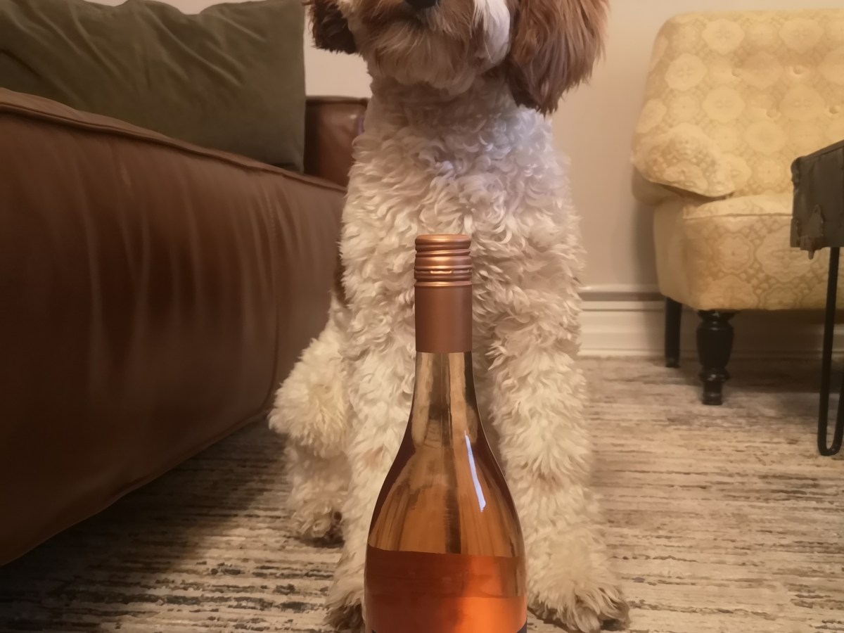 Anaheim Ducks 2022 Wine&nbsp;Pairing