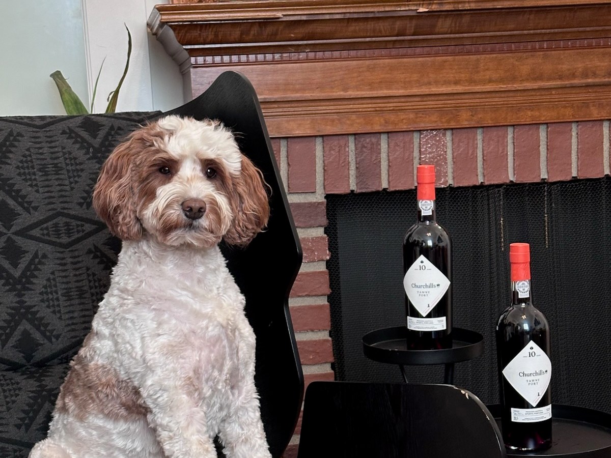Churchill’s 10 Year Old Tawny Port Crowned 2025 Hockey WineUp&nbsp;Champion
